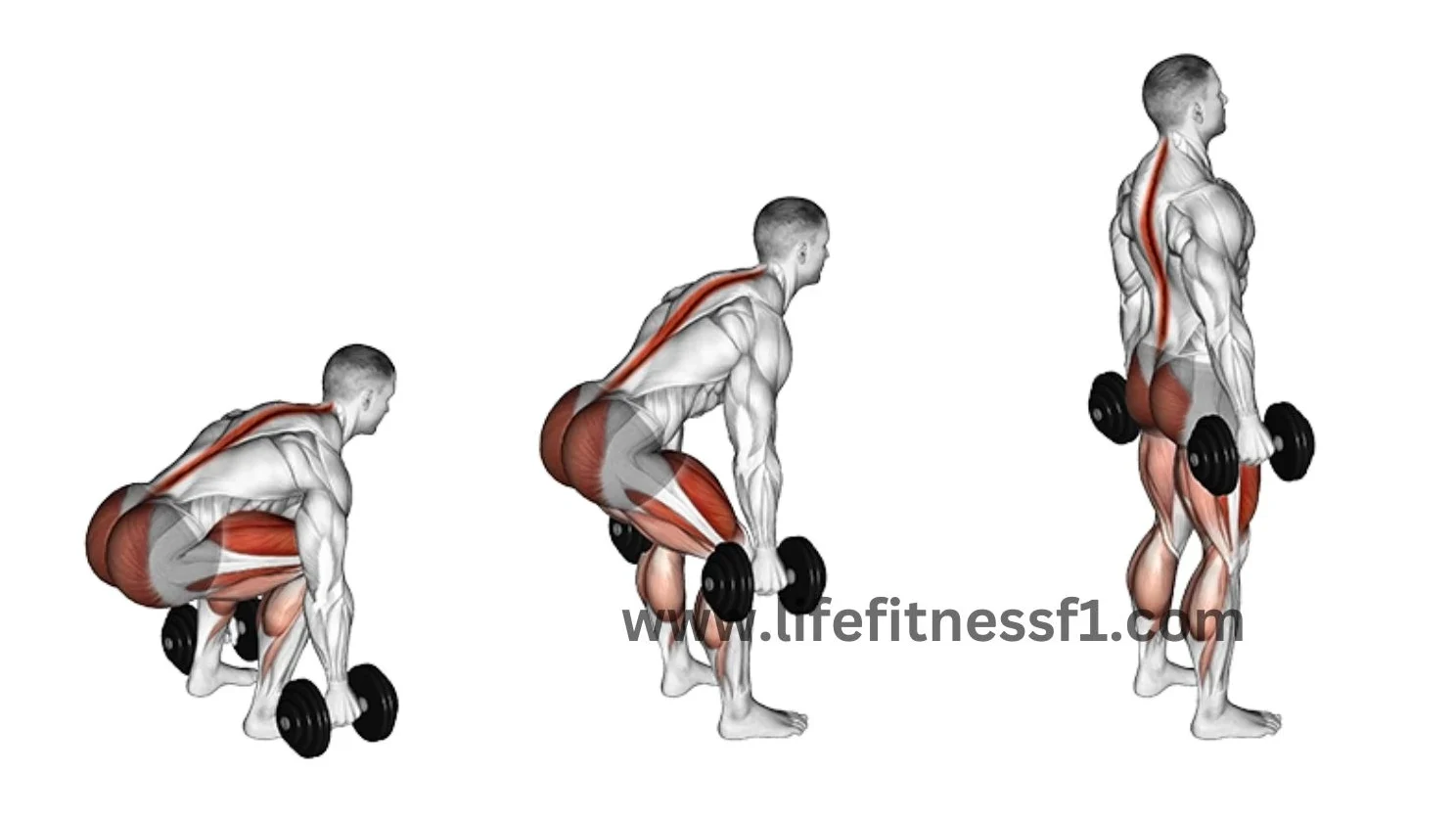 Leg Workouts With Dumbbells