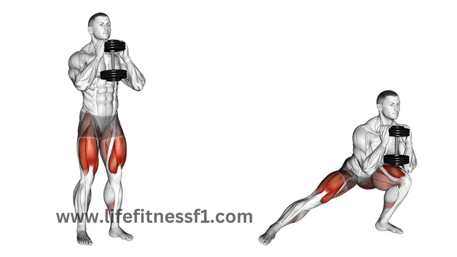 Leg Workouts With Dumbbells